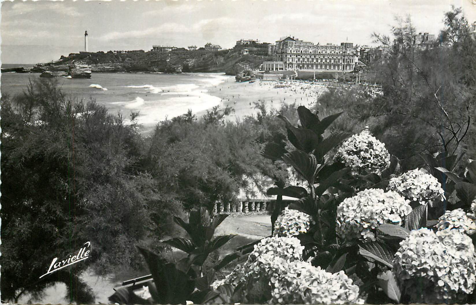 CPA Biarritz Les Hortensias et vue sur le Phare 