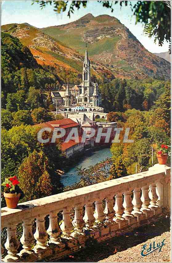 CPA Lourdes La Basilique et le Gave 
