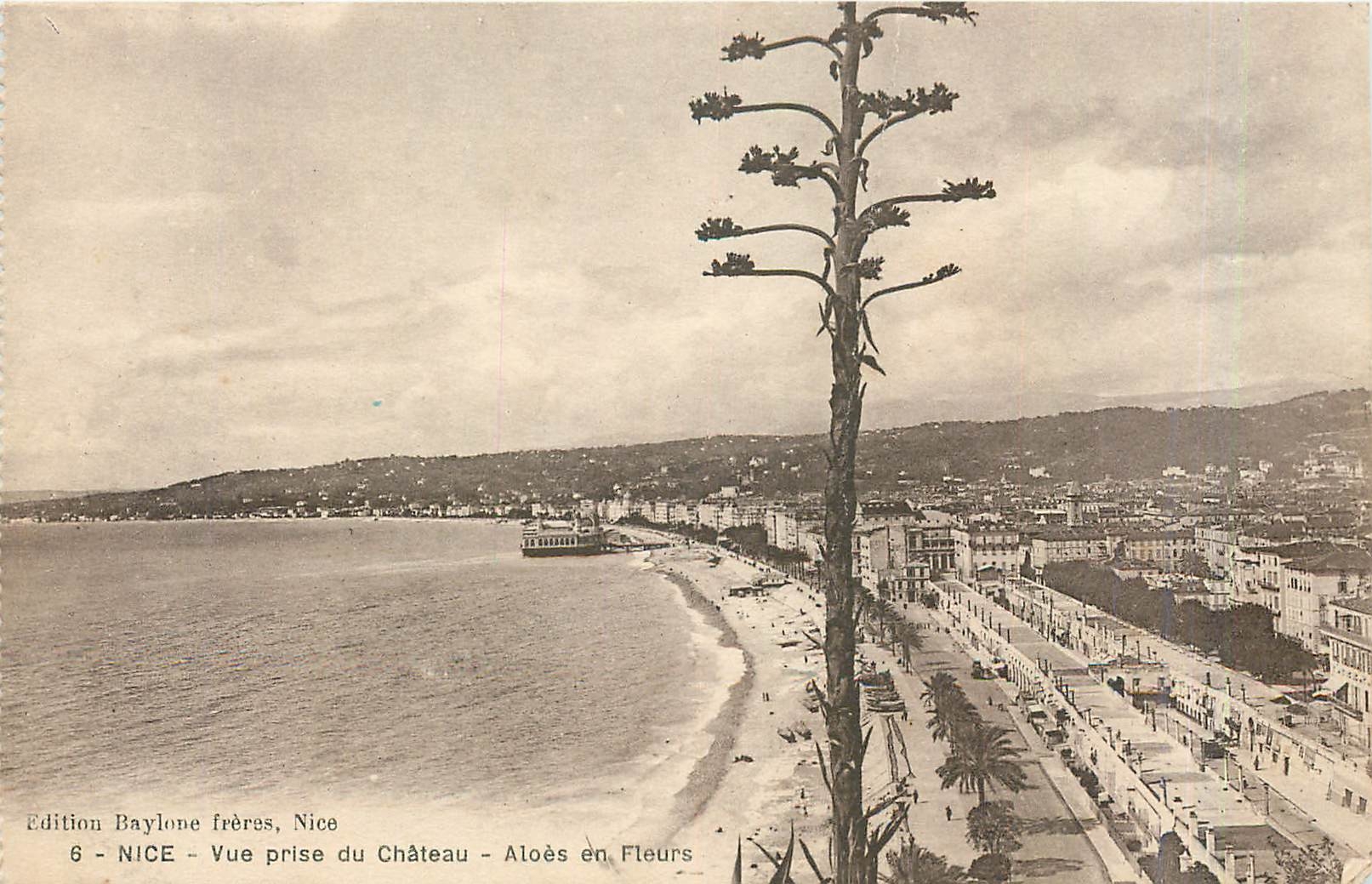CPA Nice Vue prise du Chateau Aloes en Fleurs 