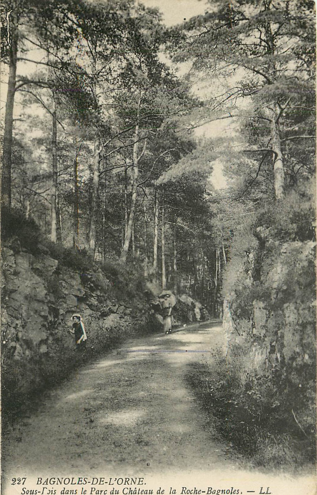 CPA Bagnoles de l'Orne Sous Bois dans le Parc du Chateau de la Roche Bagnoles 
