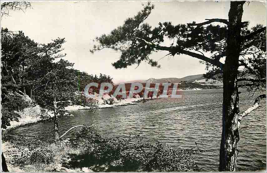 CPM Haute Garonne Bassin de Saint Ferreol A travers la Foret de Pins 