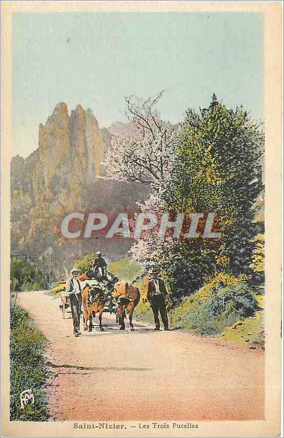 CPA Saint Nizier Les Trois Pucelles Attelage de Bœufs 