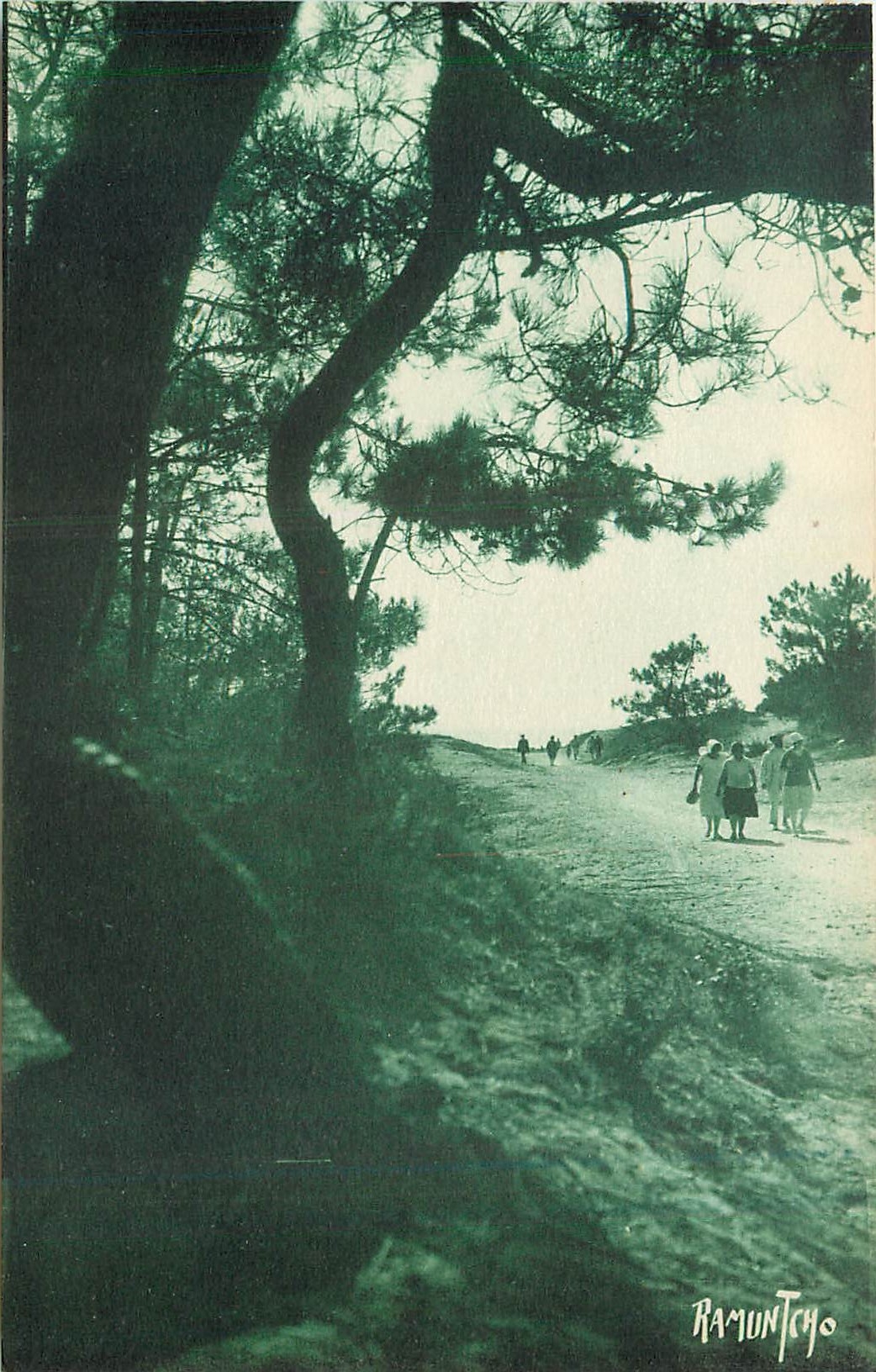 CPA L'Ile d'Oleron Allee de la Plage de Vert Bois 