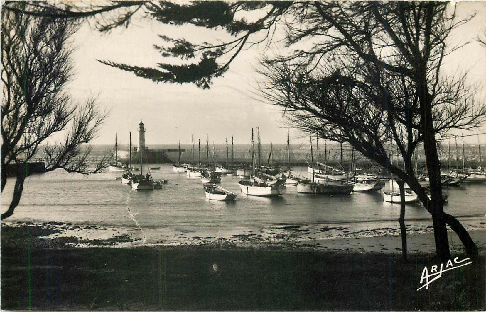 CPA Ile d'Oleron La Cotiniere Le Port Bateaux