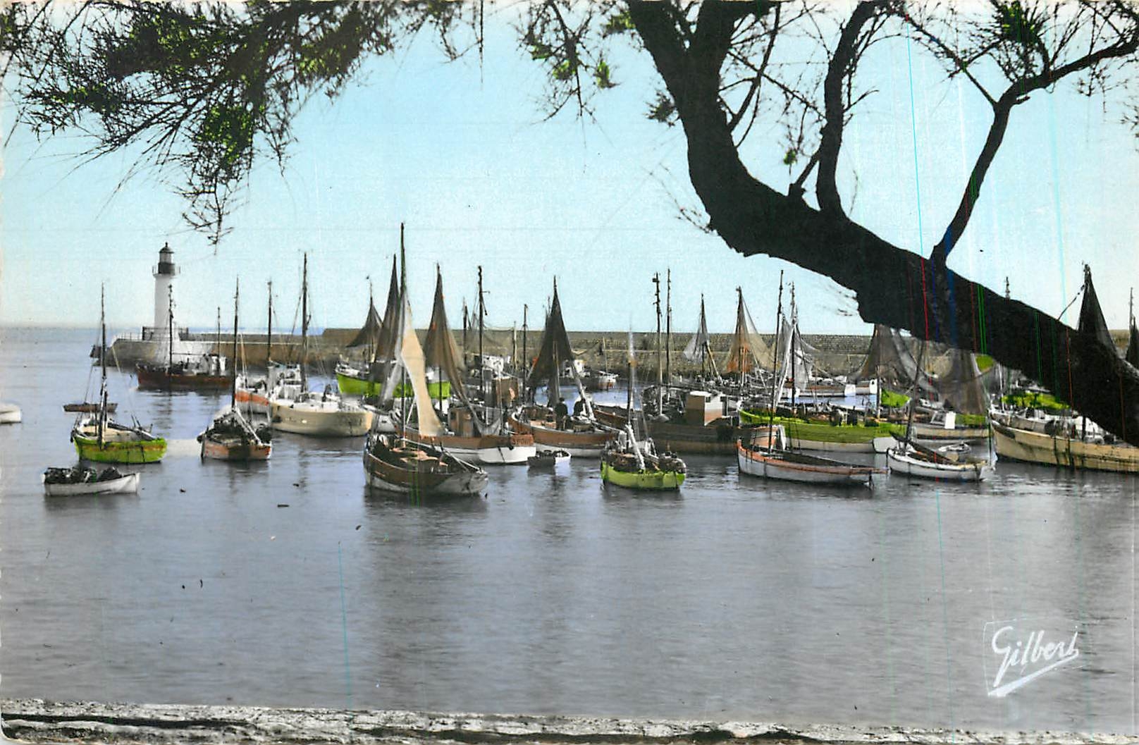 CPM Ile d'Oleron Chte Mme Le Port de la Cotiniere Bateaux