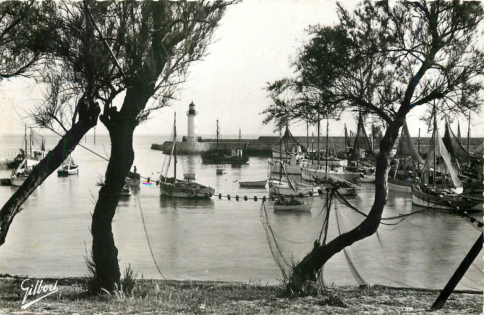 CPM Ile d'Oleron Chte Mme Le Port de la Cotiniere  Bateaux