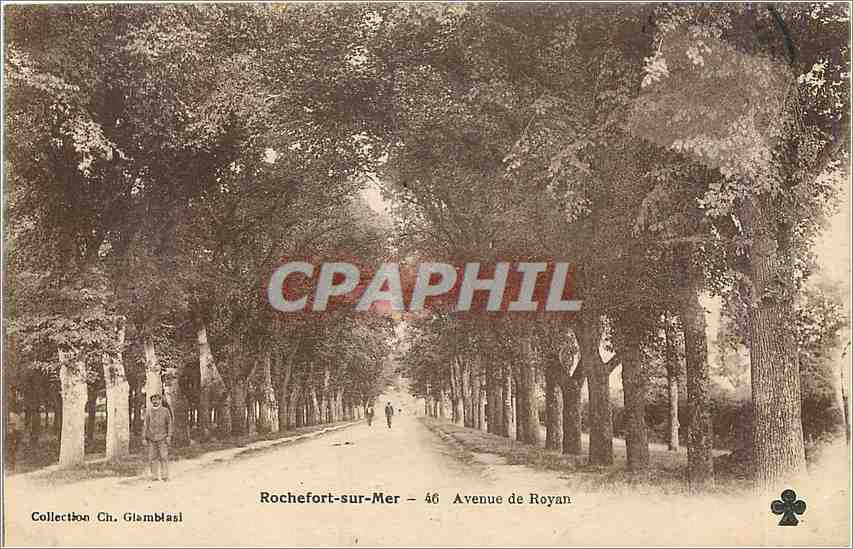 CPA Rochefort sur Mer Avenue de Royan 