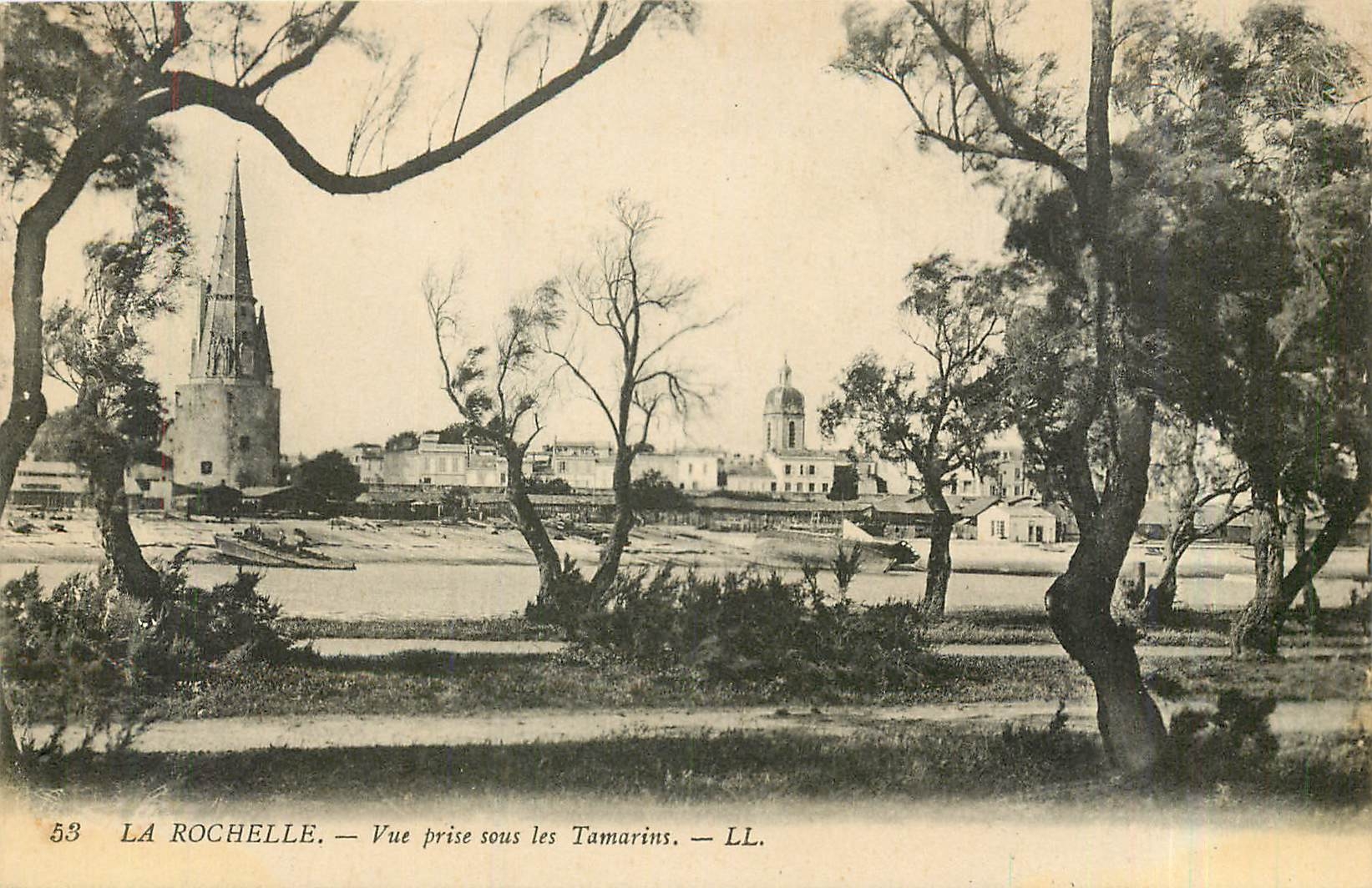 CPA La Rochelle Vue prise sous les Tamarins 