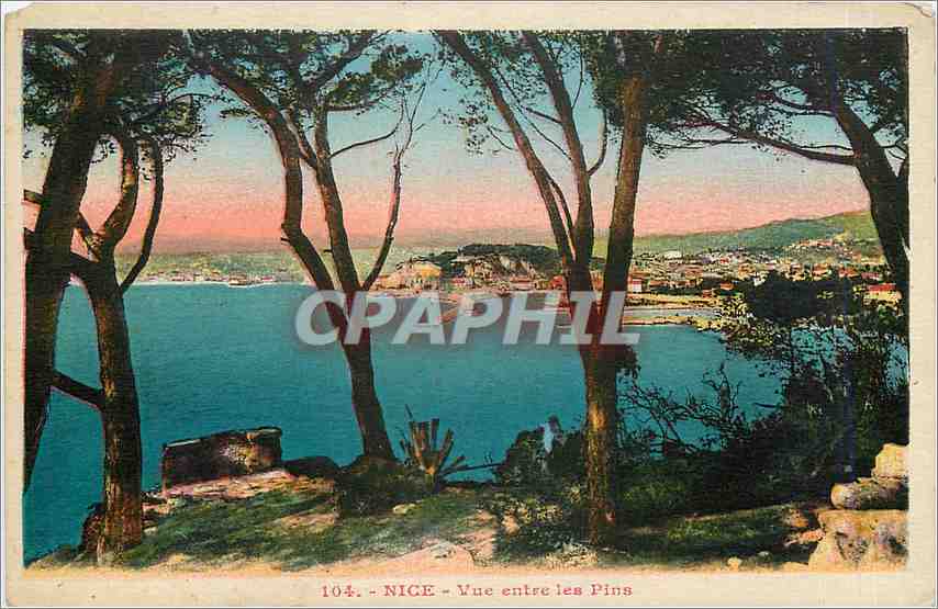CPA Nice Vue entre les Pins 