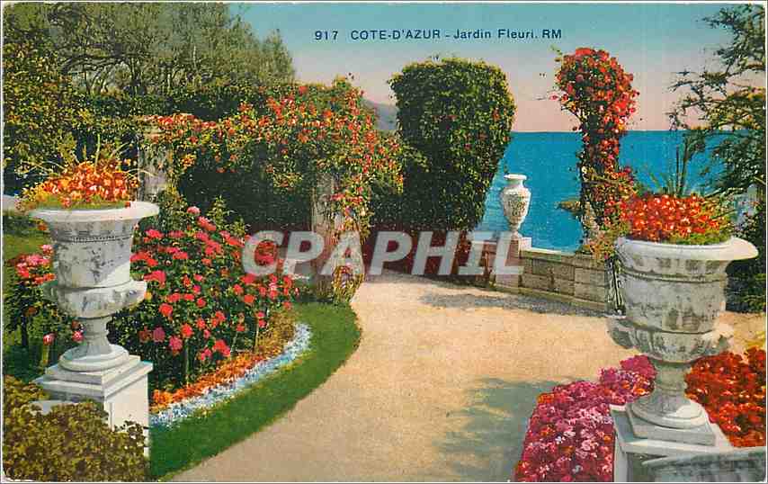 CPA Cote d'Azur Jardin Fleuri 