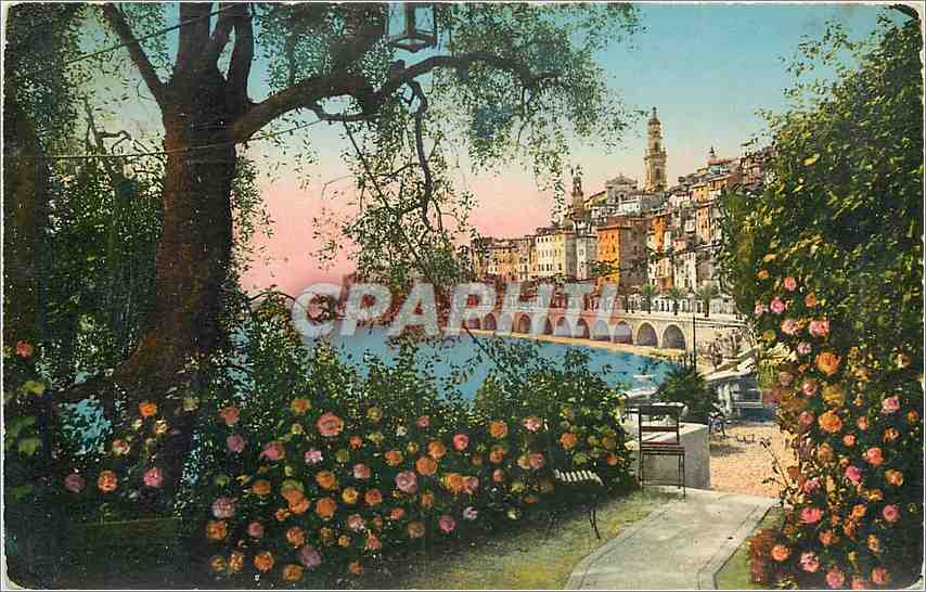 CPA Menton La Vieille Ville a travers les oliviers 