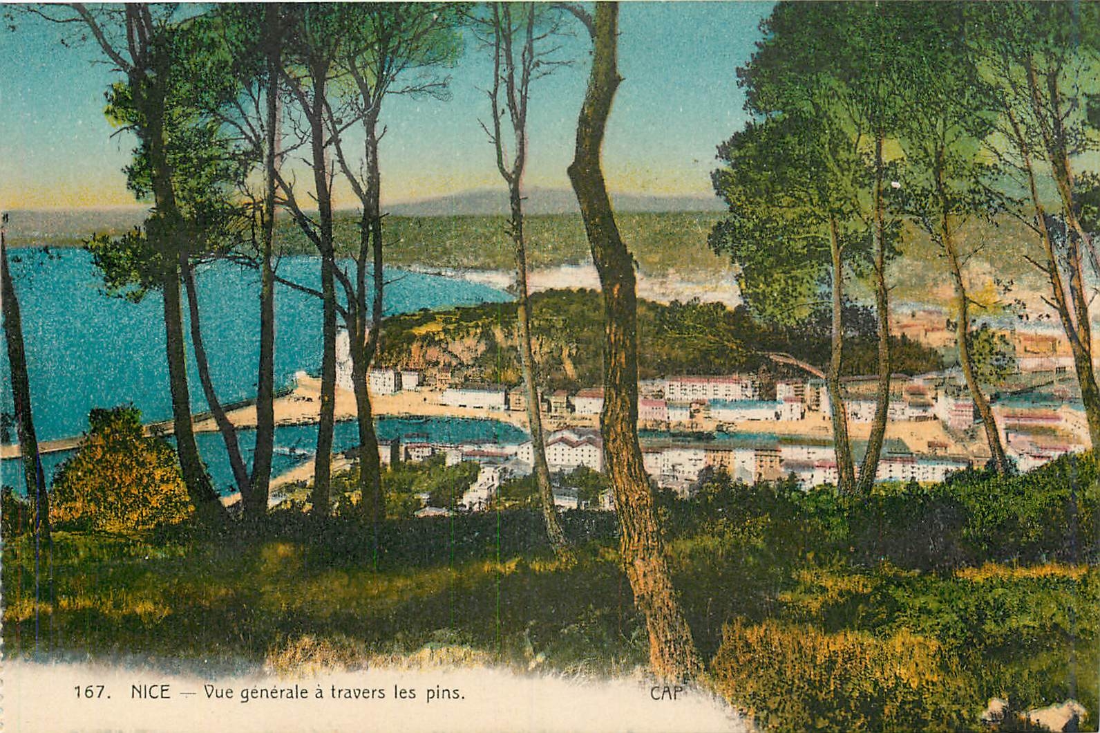 CPA Nice Vue generale a travers les Pins 