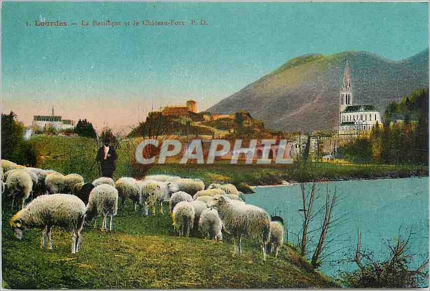 CPA Lourdes La Basilique et le Chateau Fort Berger Moutons