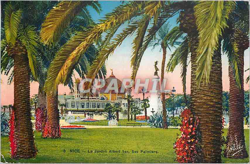 CPA Nice Le Jardin Albert 1er Ses Palmiers 