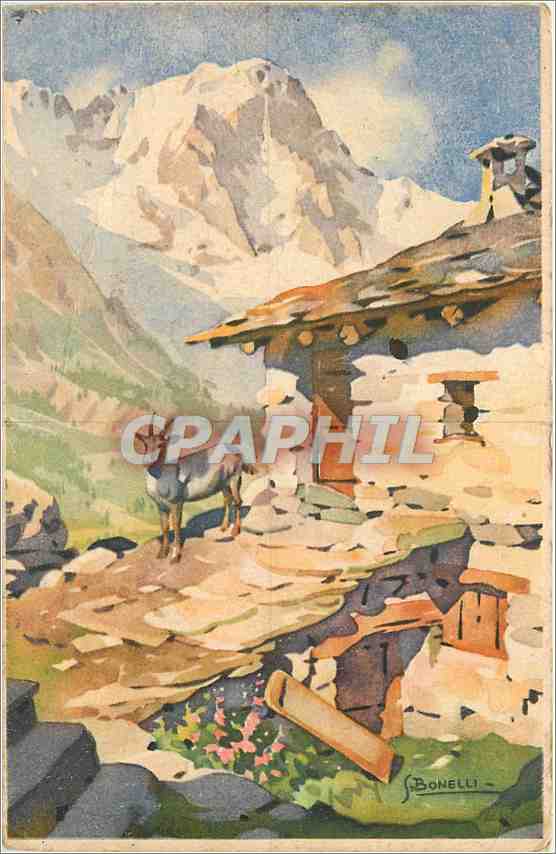 CPA Les Grandes Jorasses Courmayeur Chevre