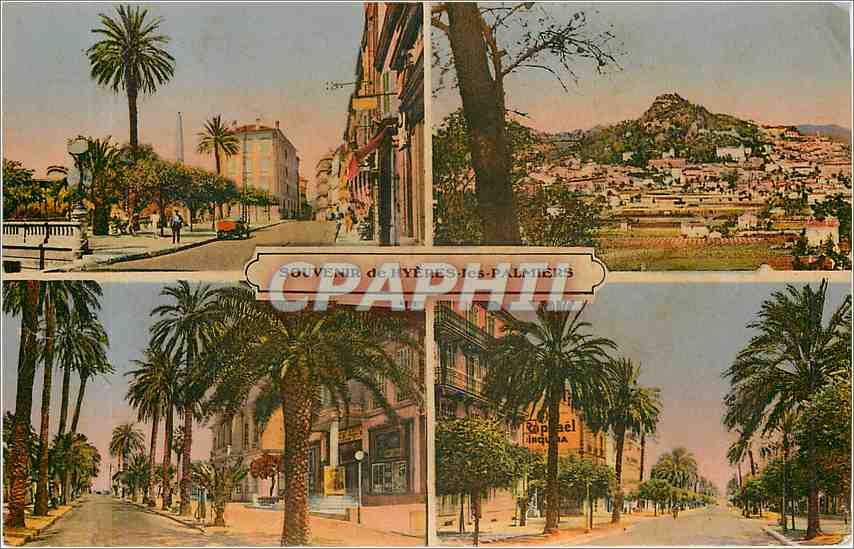CPA Souvenir de Hyeres les Palmiers 