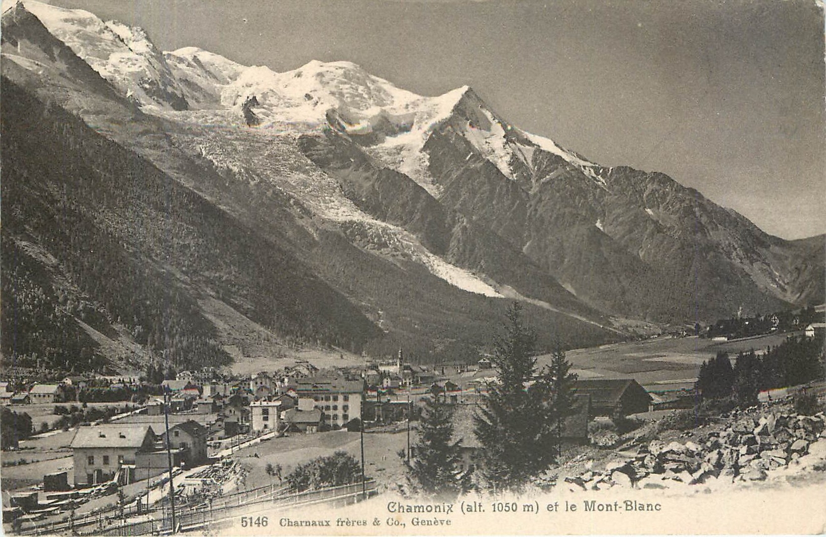 CPA Chamonix et le Mont Blanc 