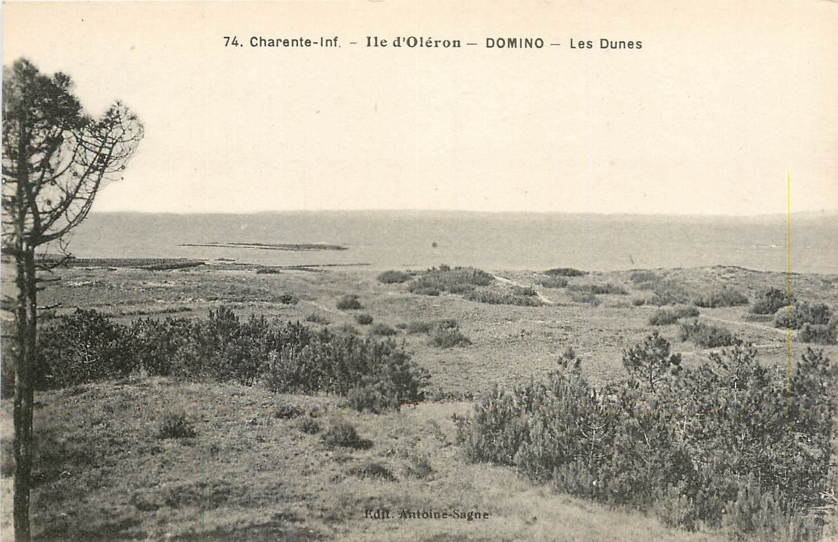 CPA Charente Inf Ile d'Oleron Domino Les Dunes 