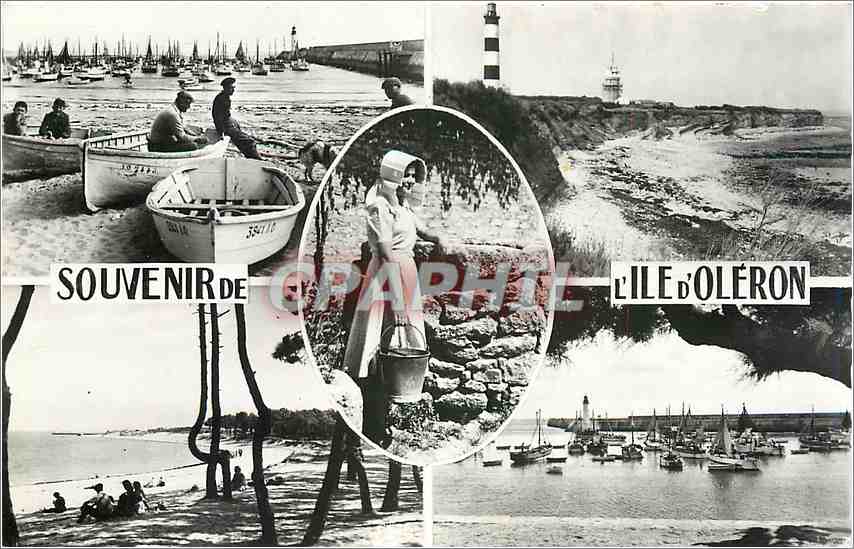 CPM Souvenir de l'Ile d'Oleron Phare Bateaux
