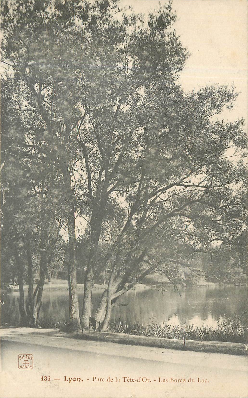 CPA Lyon Parc de la Tete d'Or Les Bords du Lac 