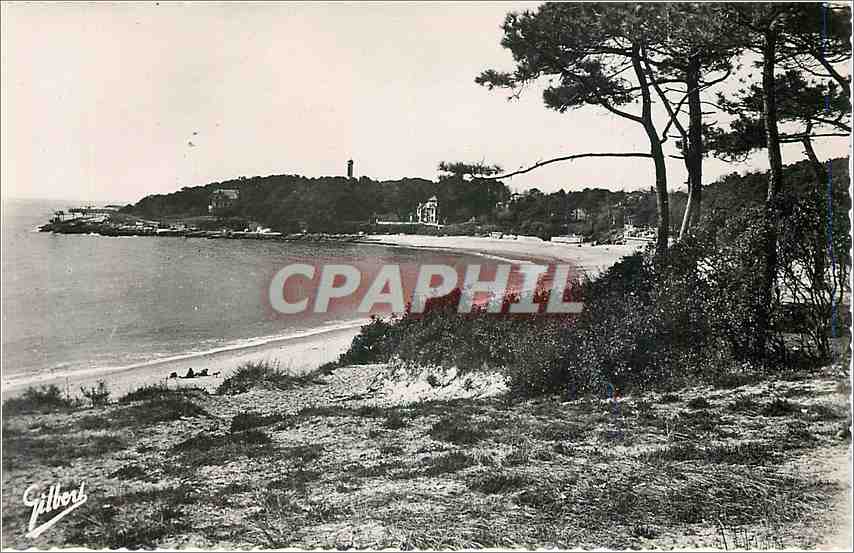 CPA Sous le Ceil de France Royan Saint Palais Pointe de Terre Negre 