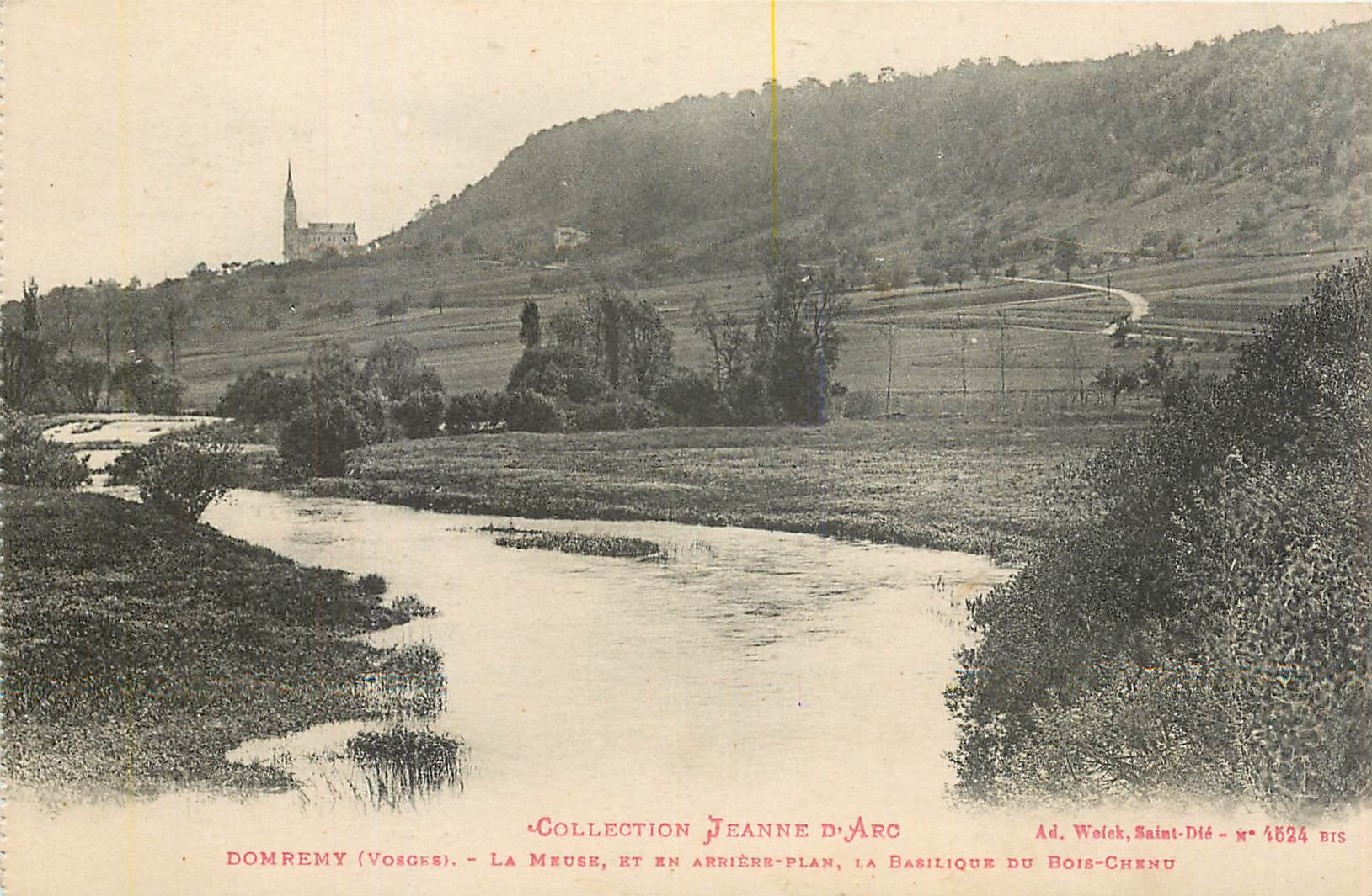 CPA Collection Jeanne d'Arc Domremy Vosges La Meuer et en Arriene Plan la Basilique du Bois Chenu 