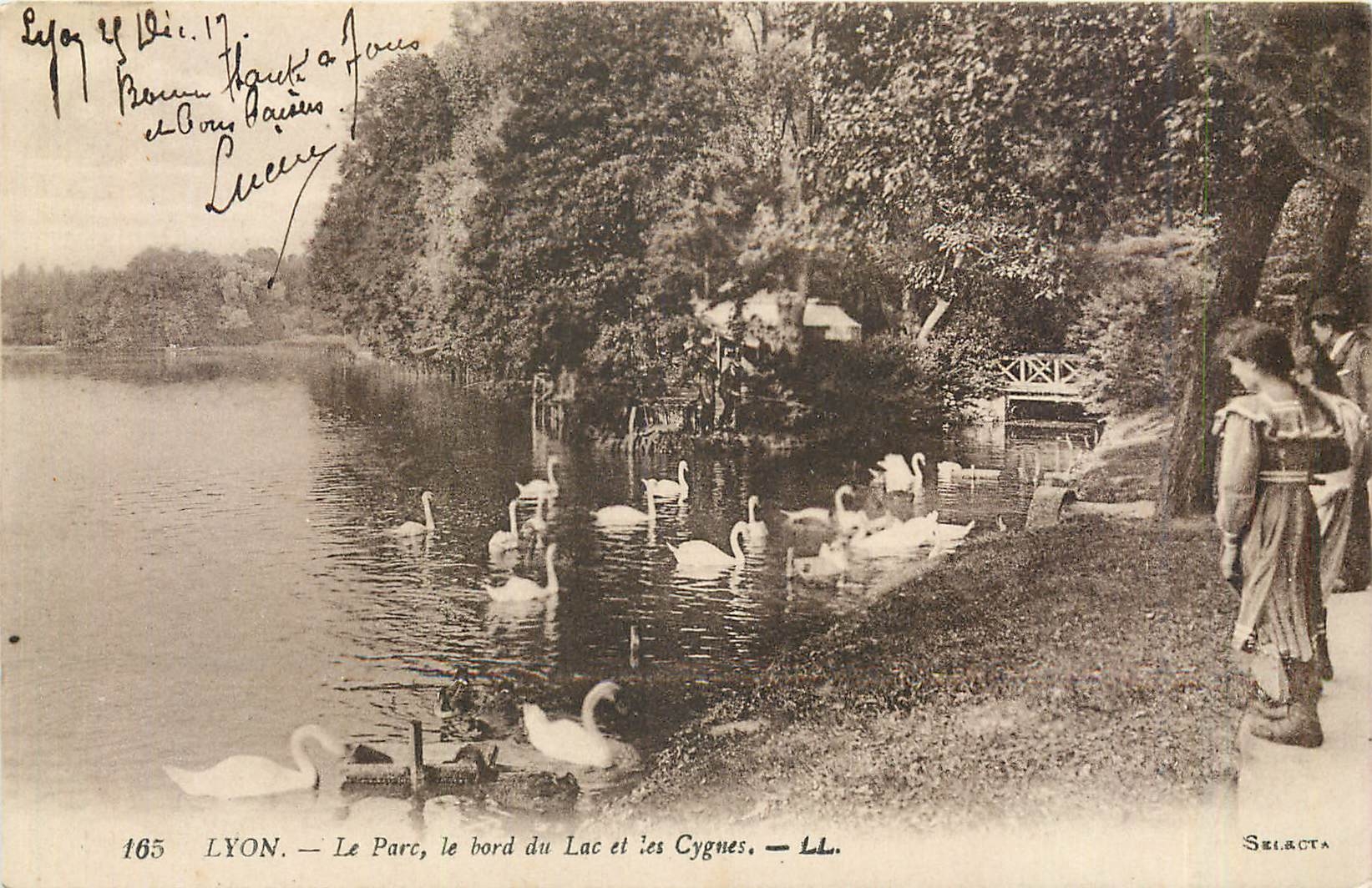 CPA Lyon Le Parc le bord du Lac et les Cygnes 