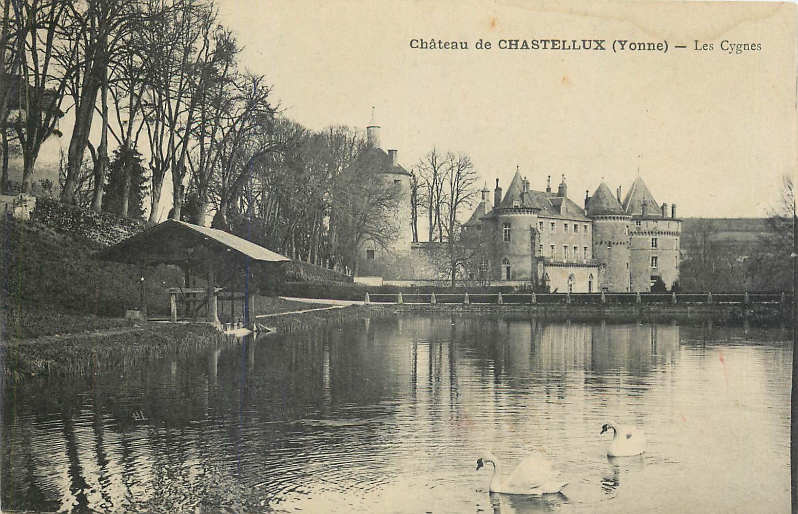 Château de CHASTELLUX (Yonne) — Les Cygnes