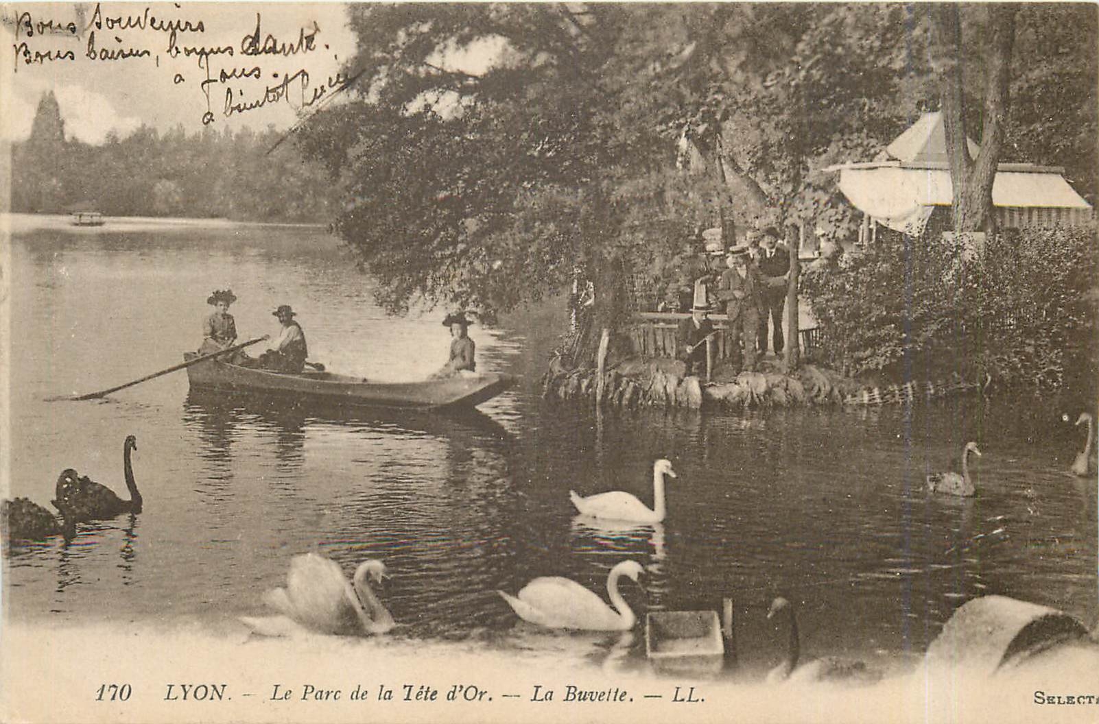 CPA Lyon Le Parc de la Tete d'Or La Buvette Cygnes