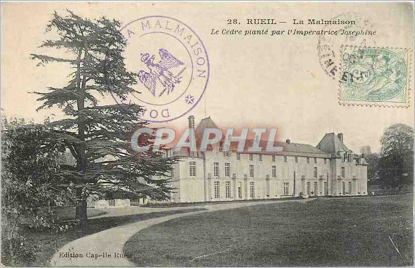 CPA Rueil La Malmaison Le Cedre plante par l'Imperatrice Josephine 