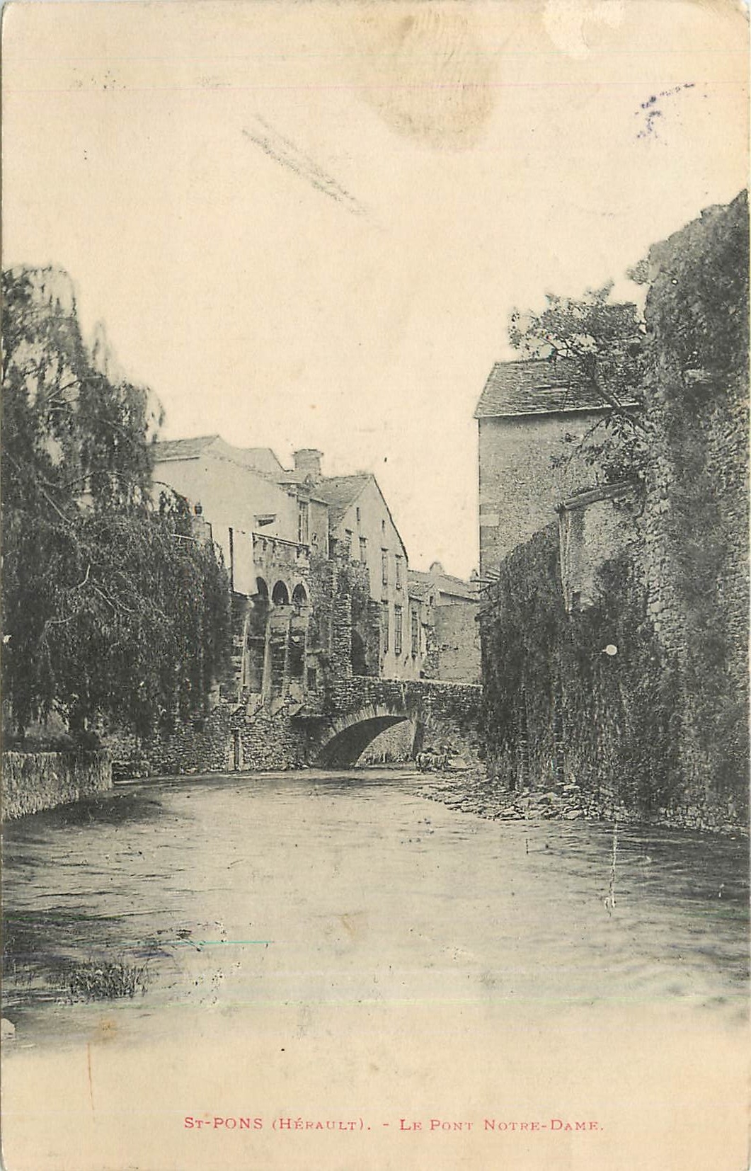 CPA St Pons Herault Le Pont Notre Dame 