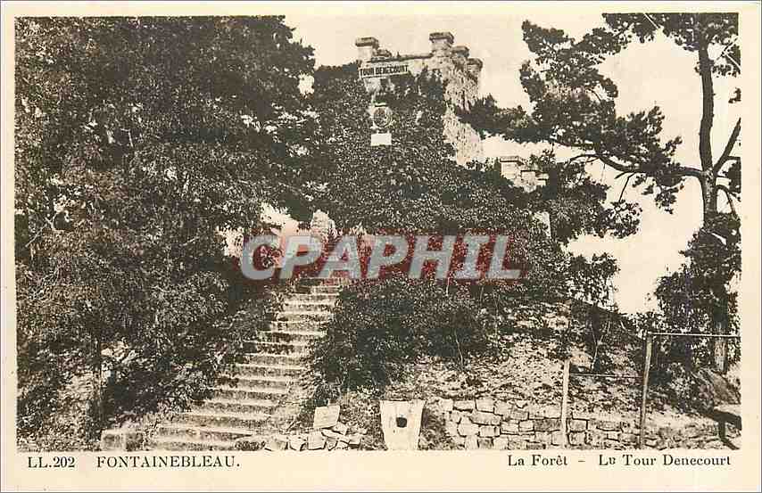 Die Wälder - Le Tour Denecourt — Fontainebleau, Verlag C° des Arts Photomecaniques in Straßburg