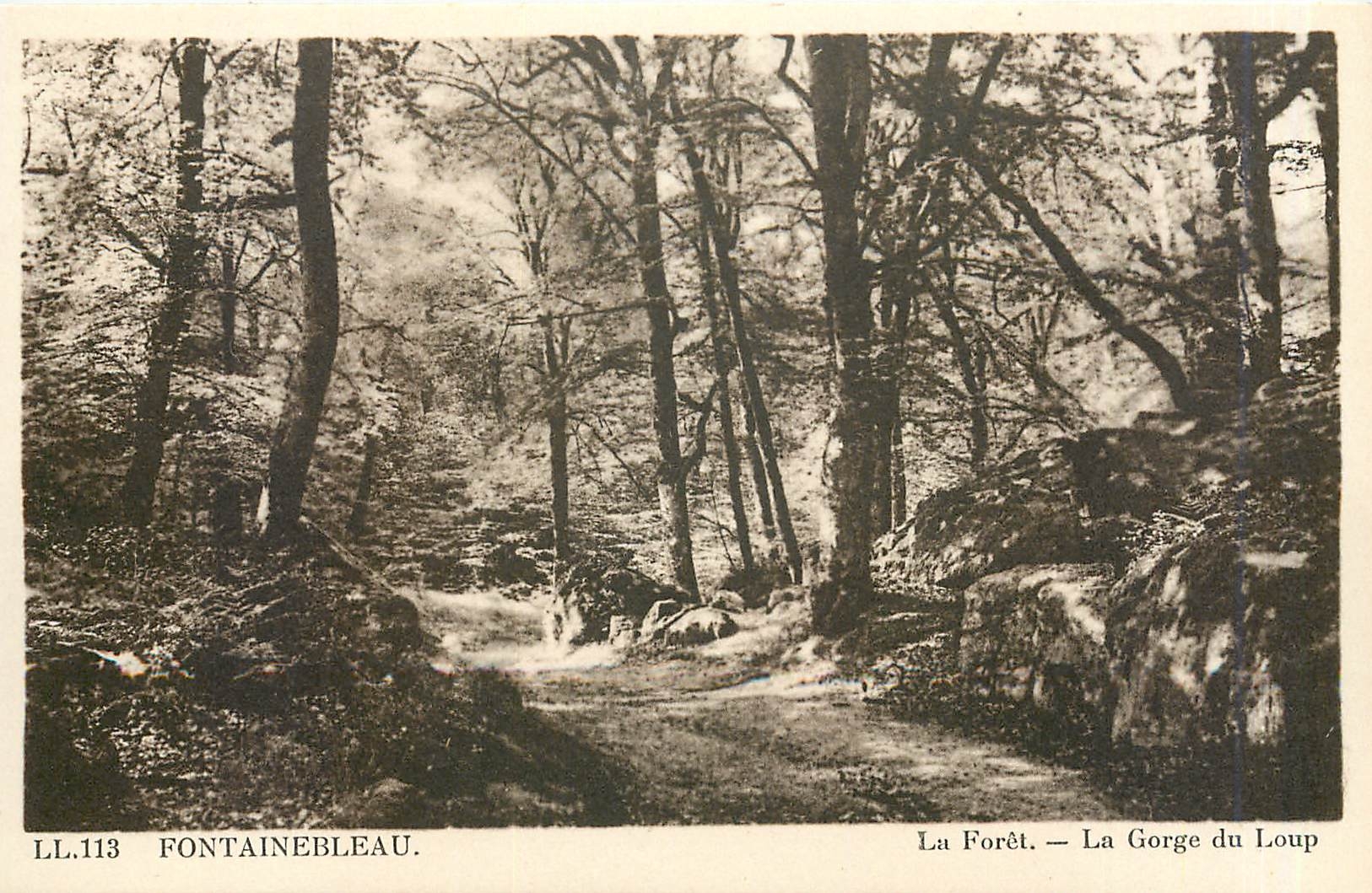 Fontainebleau — La Forêt — La Gorge du Loup — LL.113 — Édition CPAPHIL