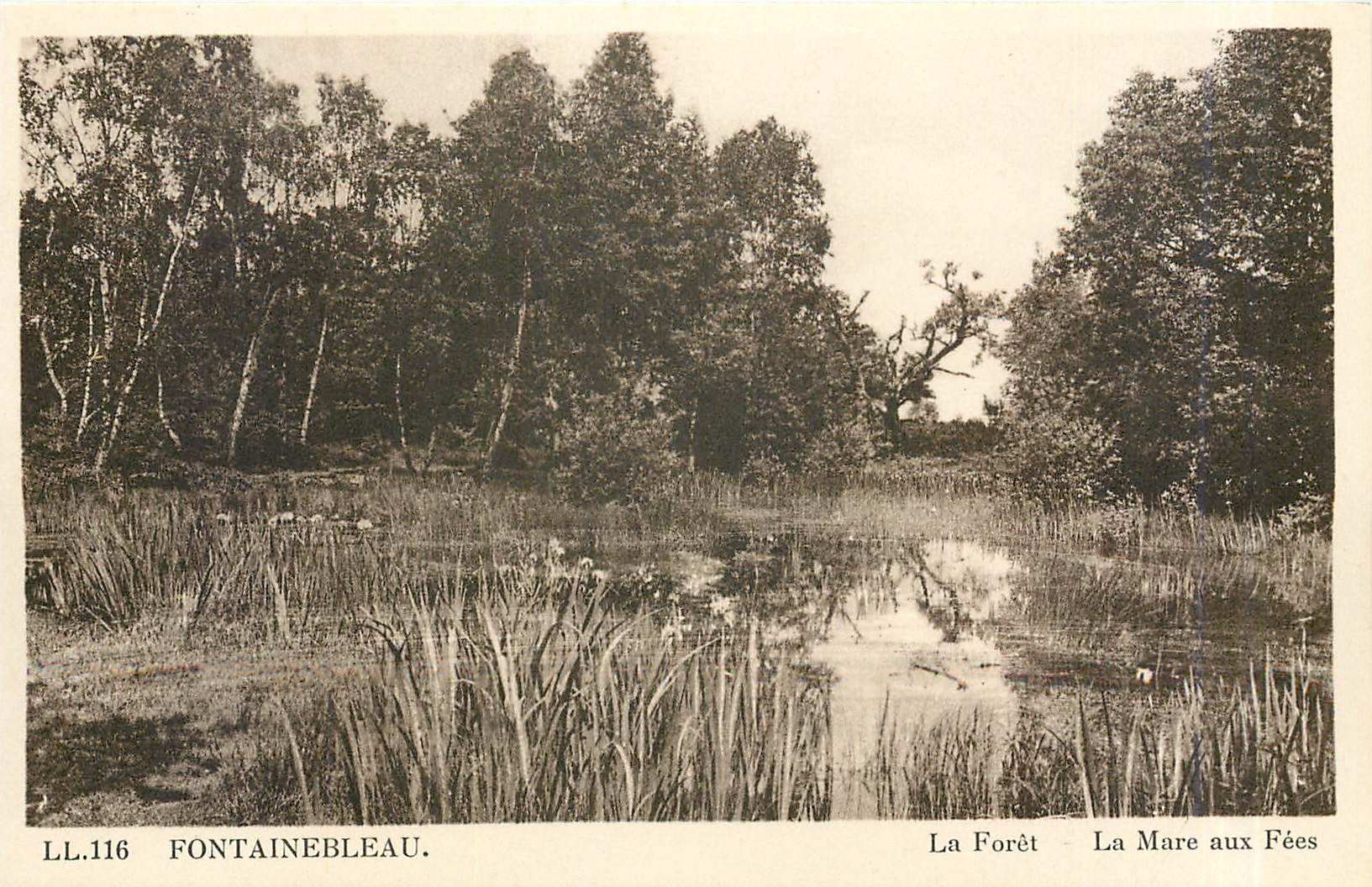 CPA Fontainebleau La Foret La Mare aux Fees 