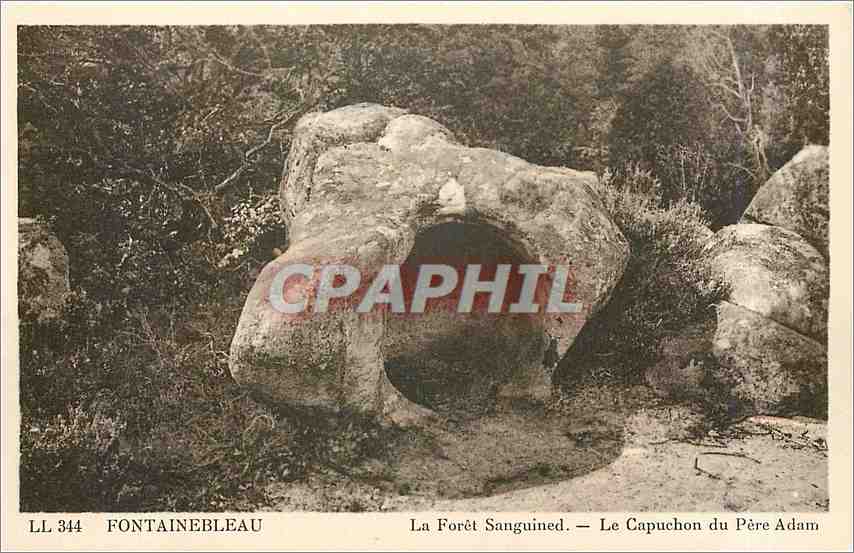 Fontainebleau — Die Blutige Forêt — Der Hut des Vaters Adam