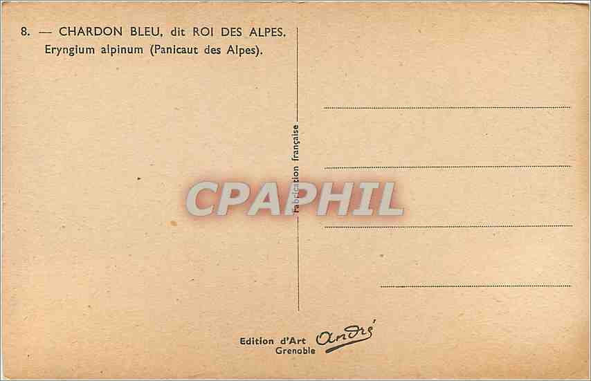 CPA Chardon Bleu dit Roi des Alpes Eryngium Alpinum  — Verso