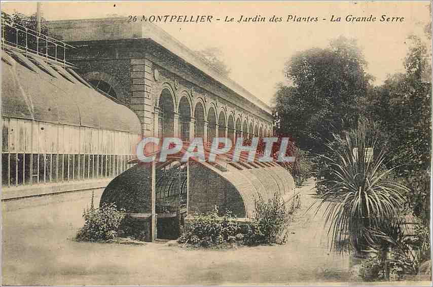 Montpellier - Le Jardin des Plantes - La Grande Serre
