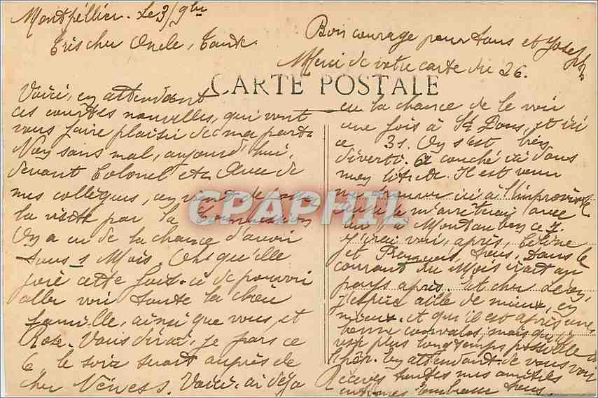 Montpellier - Le Jardin des Plantes - La Grande Serre — Verso