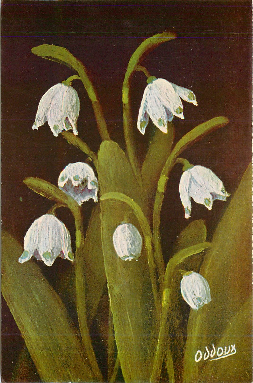 CPA Galanthus Nivalis Perce Neige Fleurs