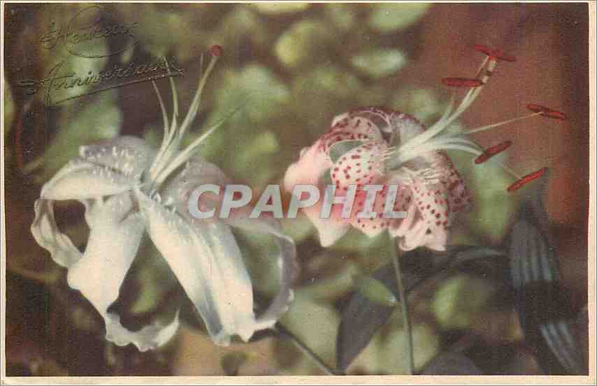 CPA Heureux Anniversaire Fleurs
