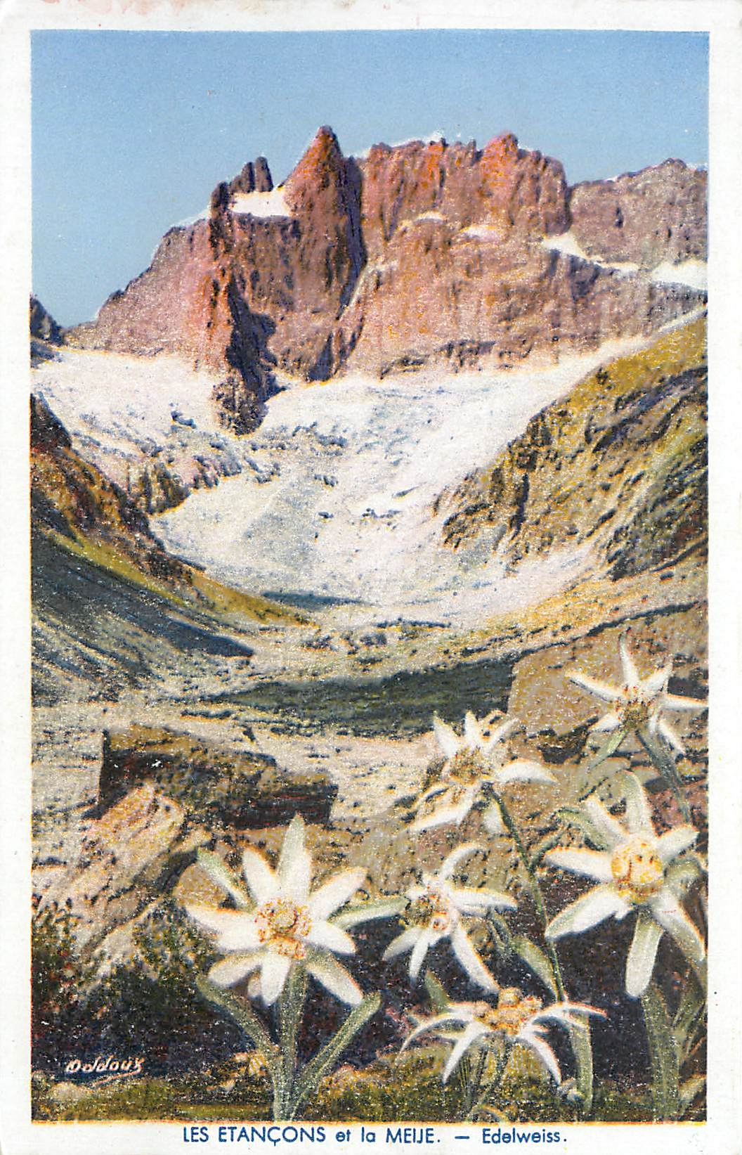 CPA Les Etancons et la Meue Edelweiss Fleurs