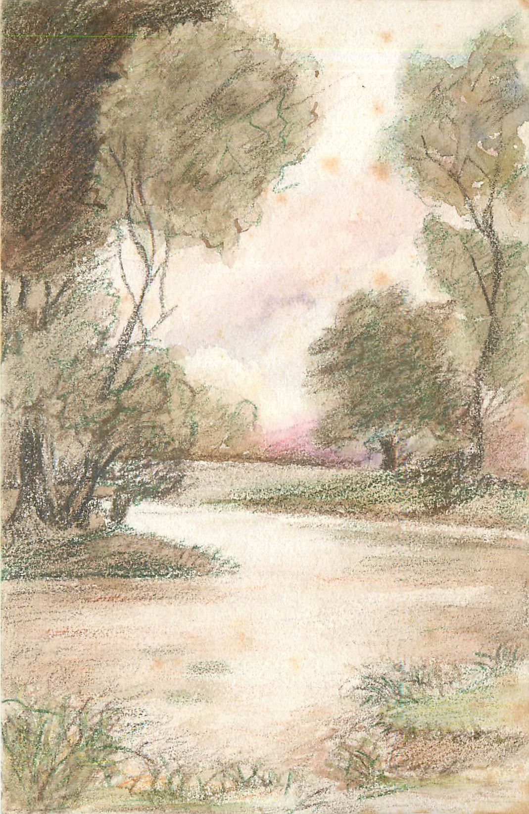 CPA Arbres (dessin a la main)