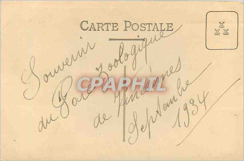 CARTE PHOTO Giraffe Parc zoologique de Vincennes 1937 — Rückseite