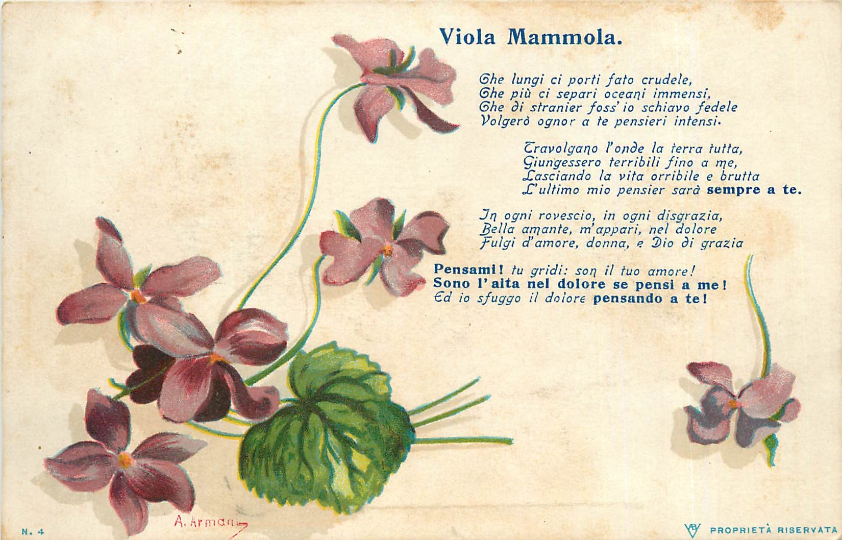CPA Viola Mammola Fleurs