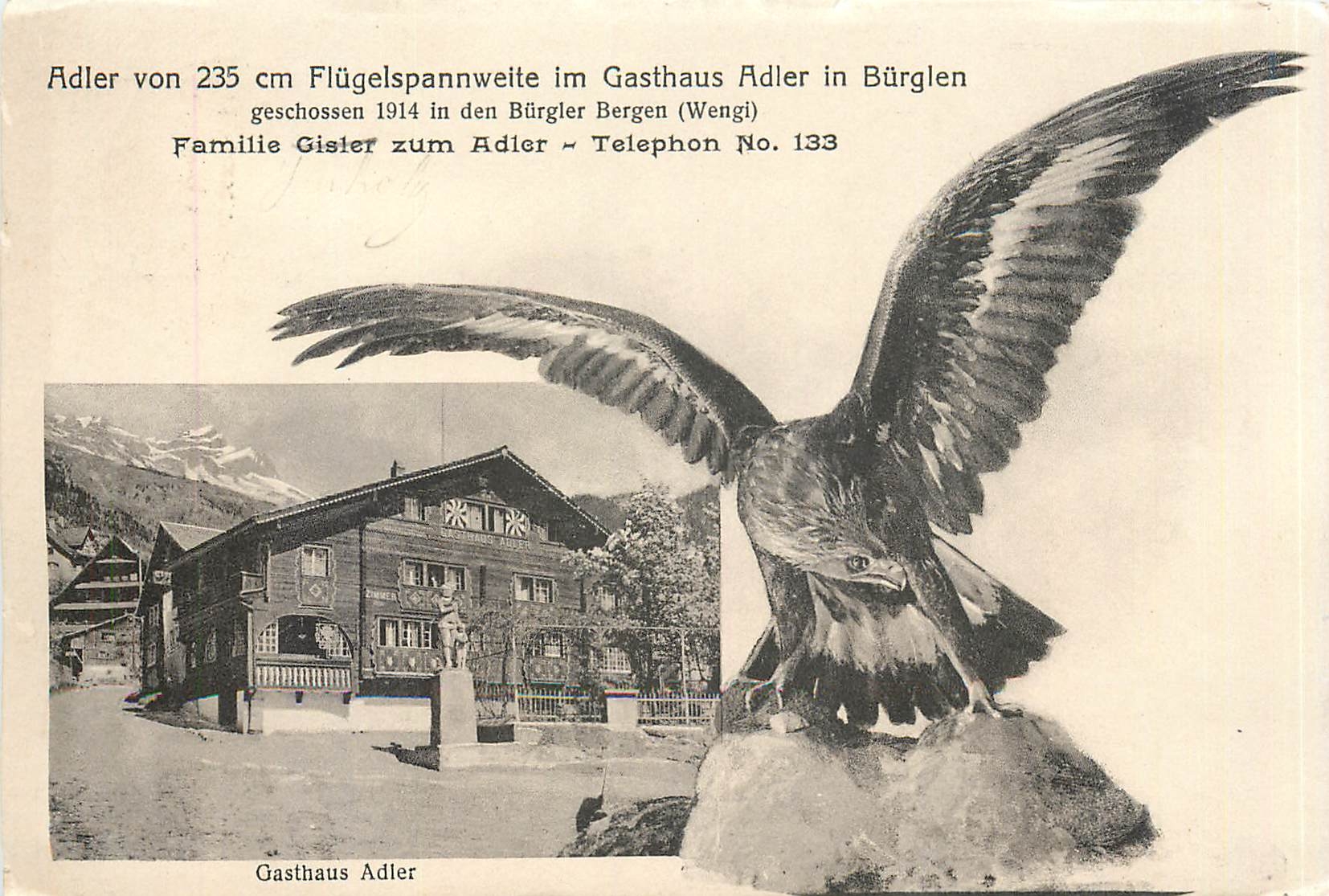 Gasthaus Adler — statue d'aigle de 235 cm d'envergure — Büriglen (Wengi)