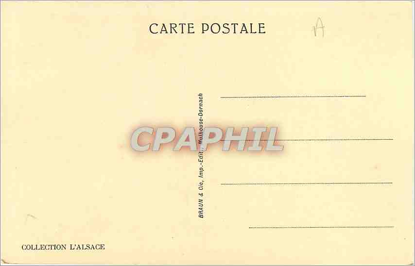 CPA Alsace Nid de Cigognes  — Rückseite