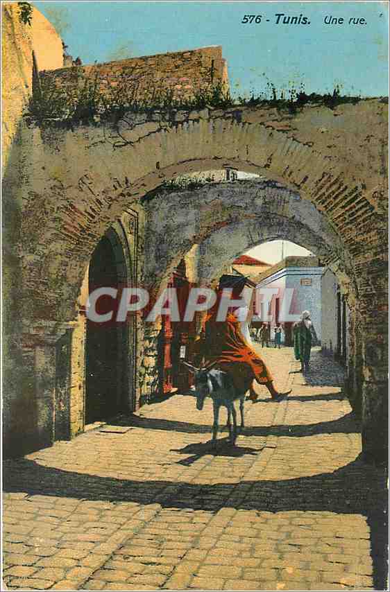CPA Tunis Une rue Ane Mule