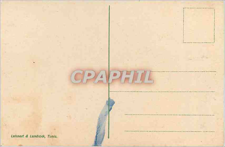 CPA Tunis Une rue Ane Mule — Verso