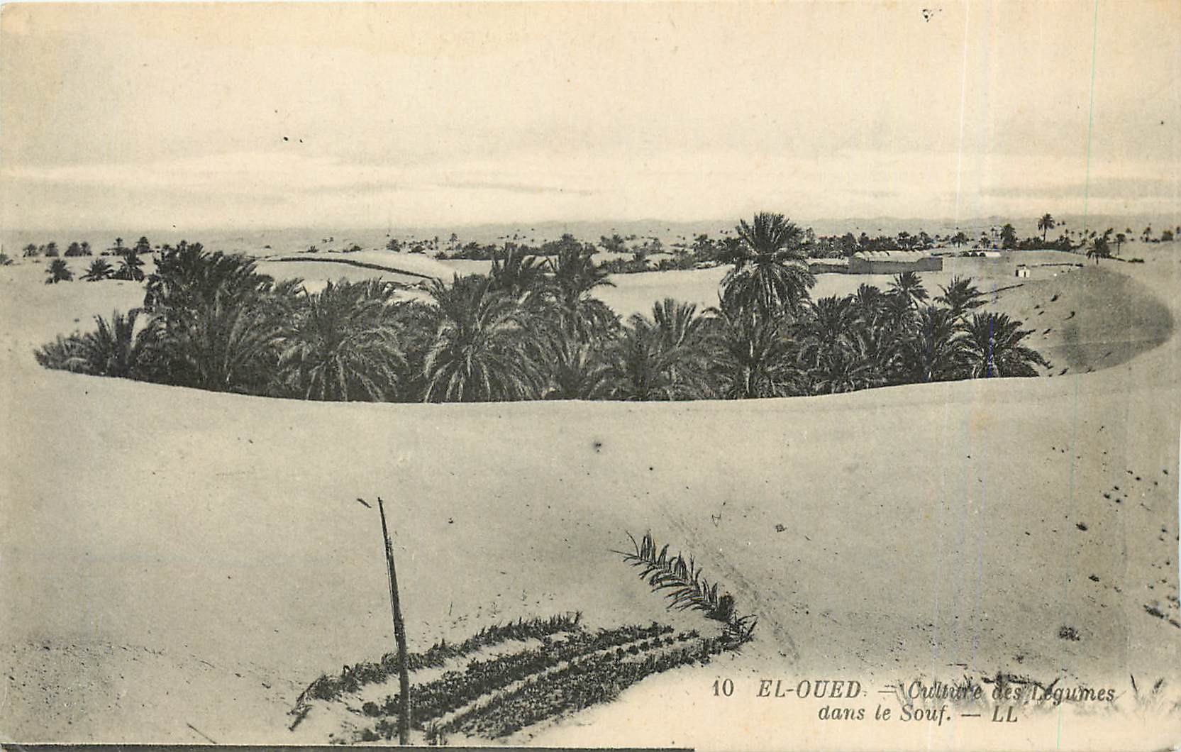 CPA El Oued Legumes dans le Souf 
