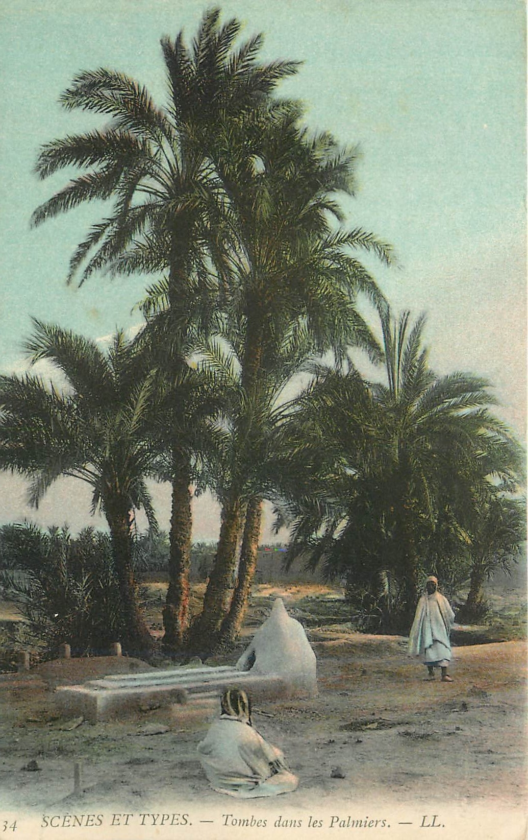 CPA Scenes et Types Tombes dans les Palmiers 